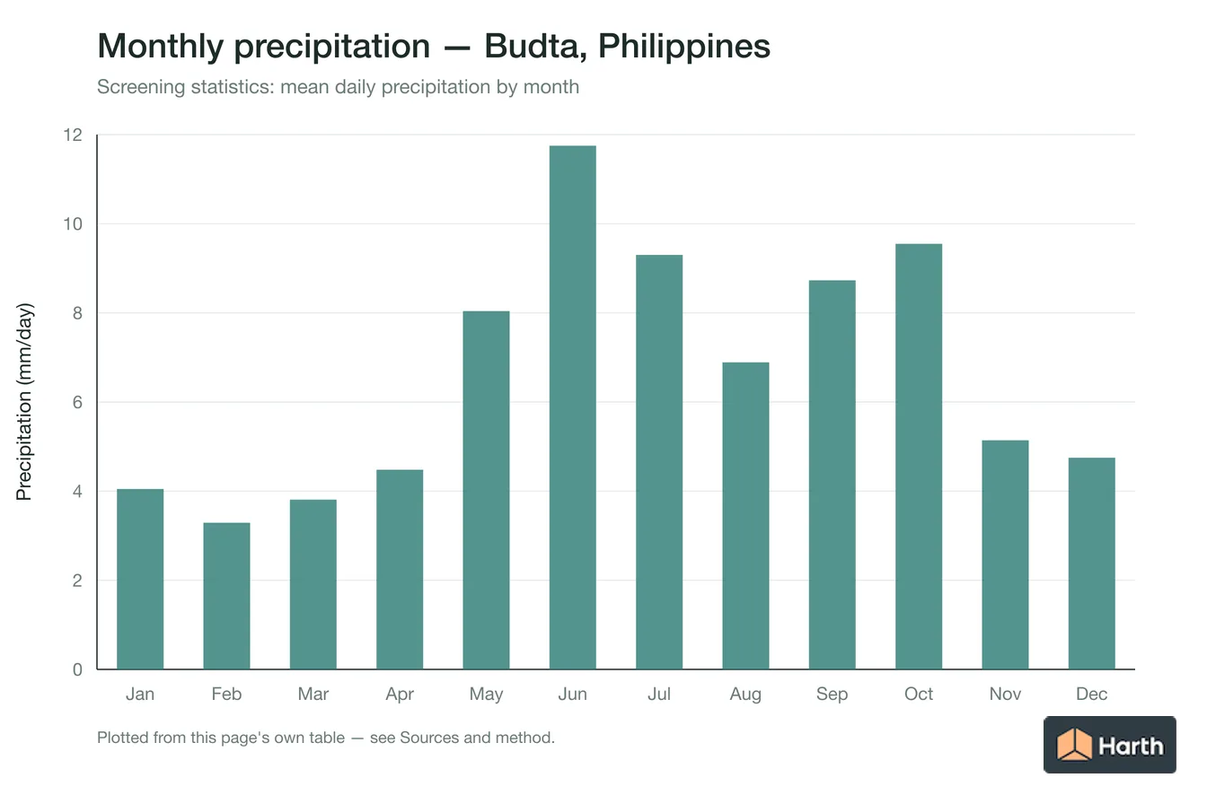 Mean daily precipitation by month for Budta, Philippines