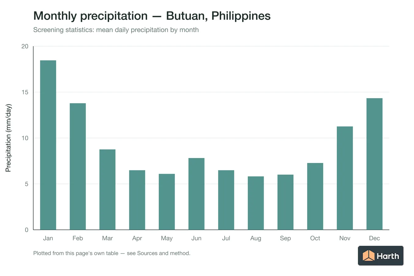 Mean daily precipitation by month for Butuan, Philippines